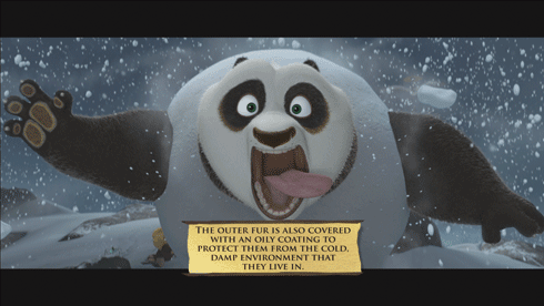 Blu-ray-Test: Kung Fu Panda 2