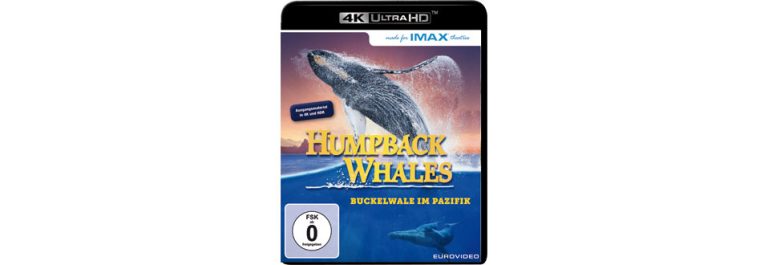 Ultra HD-Blu-ray-Test: Humpback Whales