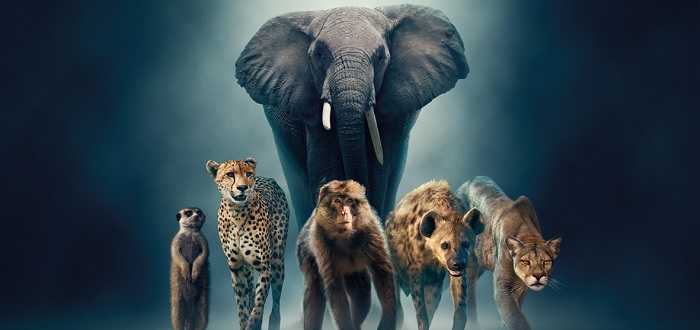 WILDE DYNASTIEN II: Ab 28. Juli auf DVD & Blu-ray