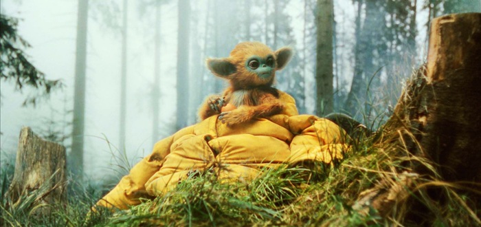 PLAION PICTURES: Die Neuheiten im August 2025