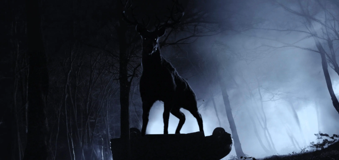 Plaion Pictures: Die Neuheiten im Oktober 2025