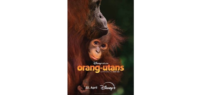 „Orangutan“: Ab 22. April auf Disney+